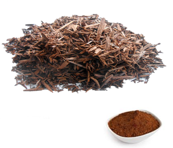 lavanyanutrascience- Acacia Catechu Extract