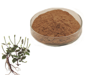 Achyranthes Aspera Extract
