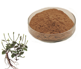 lavanyanutrascience- Achyranthes Aspera Extract