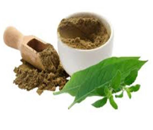 Adhatoda Vasica Extract I Adulsa Extract