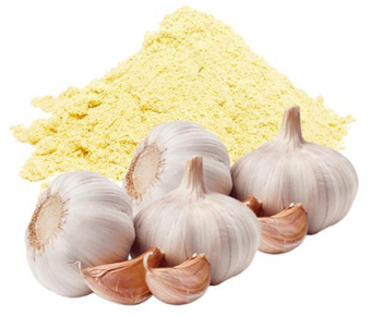 lavanyanutrascience- Allium Sativum Extract Garlic Extract