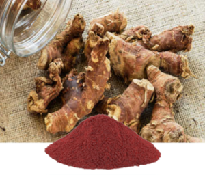 Alpinia Galangal Extract I Kulinjan extract