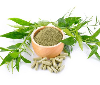 lavanyanutrascience- Andrographis Paniculata Extract