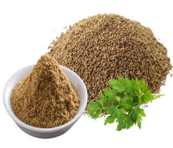 lavanyanutrascience- Apium Graveolens Seed Extract