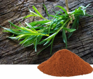 Artemisia Dracunculus Extract I Tarragon extract