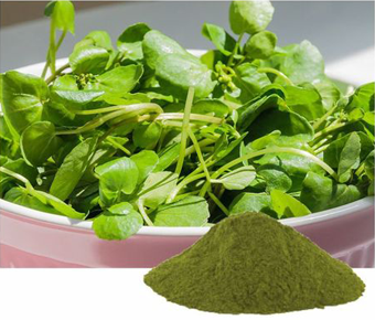 lavanyanutrascience- Arthrospira Platensis Extract