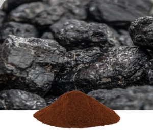Asphaltum Extract I Shilajit Extract