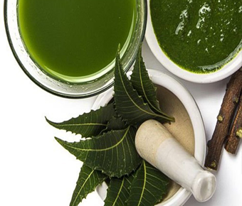 lavanyanutrascience- Azadirachta Indica Extract