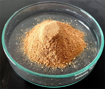 lavanyanutrascience-Bacillus Subtilis