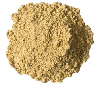 lavanyanutrascience-Bacillus clausii