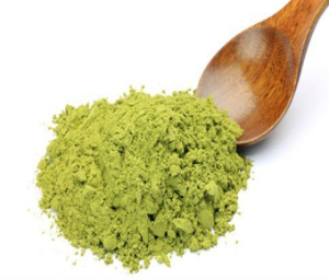 Bacillus Mesentericus