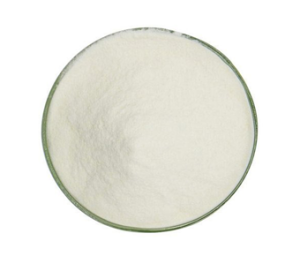 Bifidobacterium Animalis