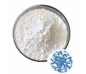 Bifidobacterium Bifidum