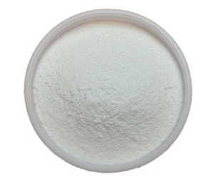 Bifidobacterium Breve