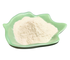 Bifidobacterium Infantis