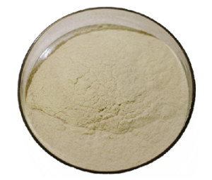 Clostridium Butyricum