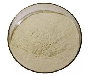 lavanyanutrascience-Clostridium Butyricum