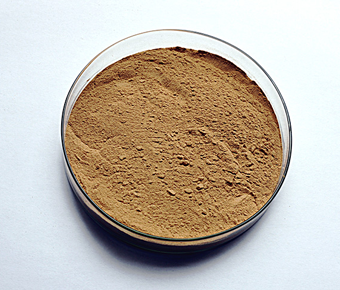 lavanyanutrascience-Enterococcus Faecium