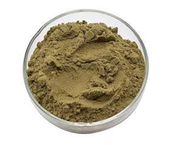 lavanyanutrascience-Ferrous Bisglycinate