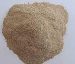 Glucoamylase
