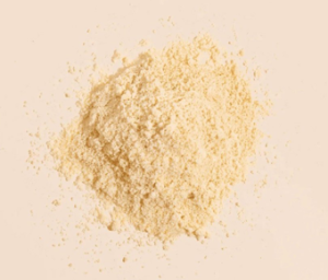 Lactobacillus Gasseri