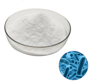 lavanyanutrascience-Lactobacillus bulgaricus