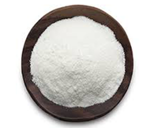 Lactobacillus fermentum