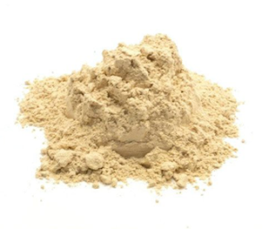 Lactobacillus Helveticus