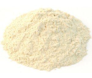 Lactobacillus Lactis