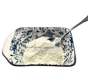 Lactobacillus Paracasei