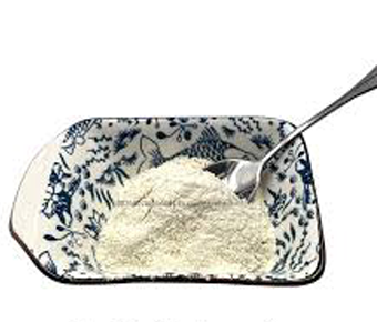 lavanyanutrascience-Lactobacillus paracasei