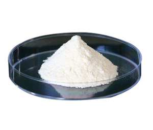 Lactobacillus Reuteri