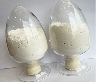 lavanyanutrascience-N-Acetyl L-Cysteine
