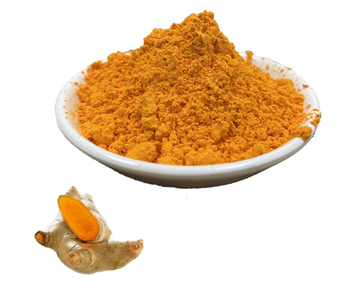 lavanyanutrascience-Nano Curcumin