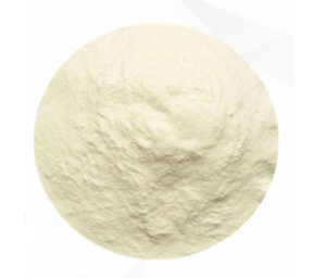 Omega 3 Fish Powder