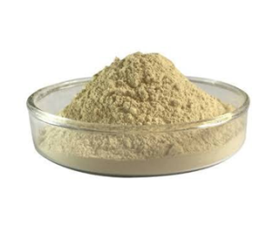 Protease