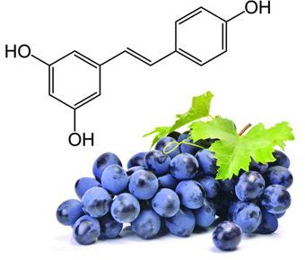 lavanyanutrascience-Resveratrol