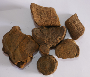 Rhubarb Extract | Rheum Emodi Extract