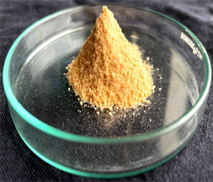 Saccharomyces Boulardii