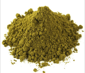 Streptococcus Faecalis