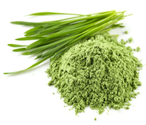 Wheat Grass Powder