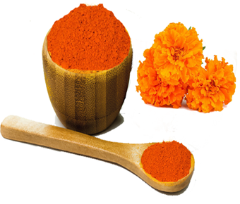lavanyanutrascience-Zeaxanthin