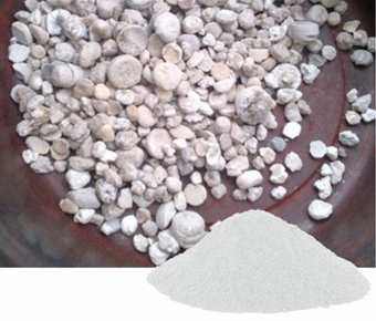 lavanyanutrascience- Bambusa Arundinacea Extract