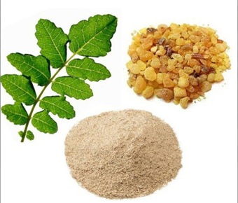 lavanyanutrascience- Boswellia Serrata Extract
