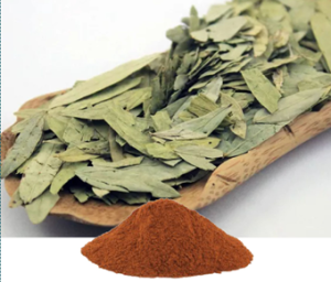 Cassia Angustifolia Extract | Senna Leaves Extract