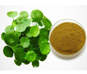 Centella Asiatica Extract