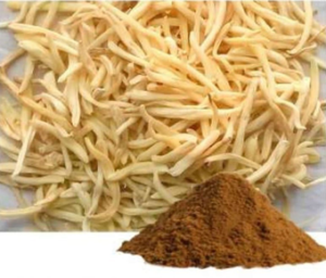 Chlorophytum Borivilianum Extract