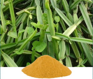 Cissus Quadrangularis Extract