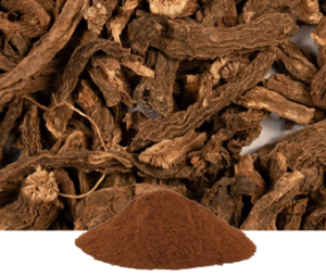 Coleus Forskohlii Extract | Coleus Roots Extract