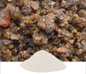 Commiphora Mukul Extract